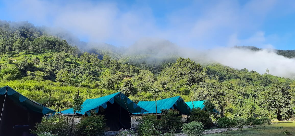 jungle camping in uttarakhand