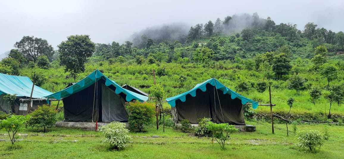 jungle camping site